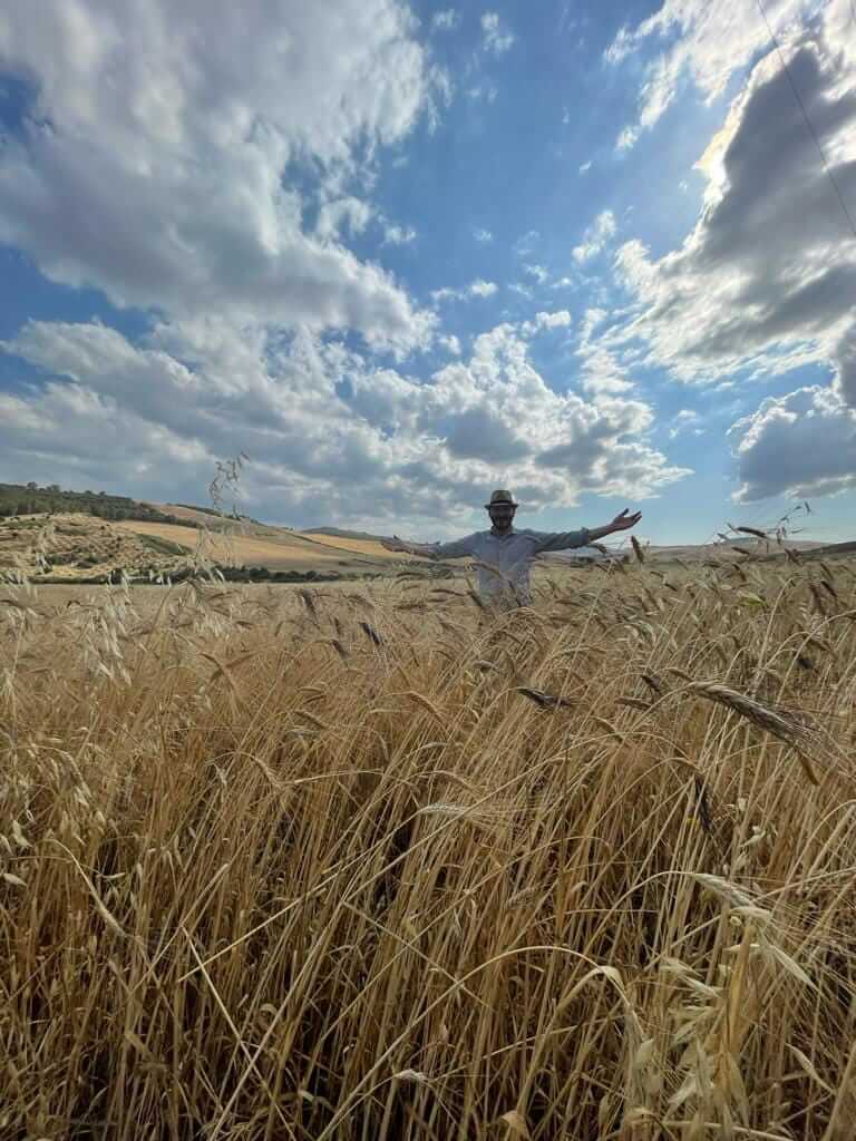 Massimiliano Prete - Il mio grano - Siclia - Sesto Gusto Torino 1